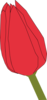 Red Tulip Bud Clip Art